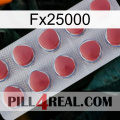 Fx25000 18
